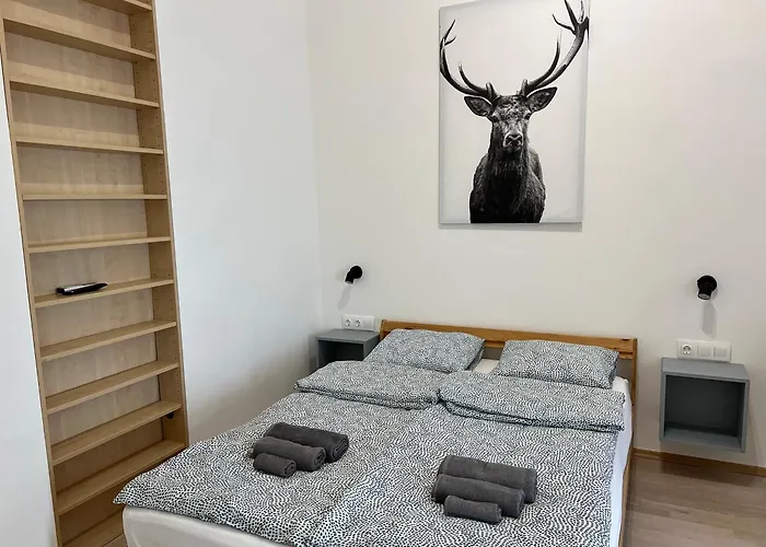 Apartament z 1 sypialnią